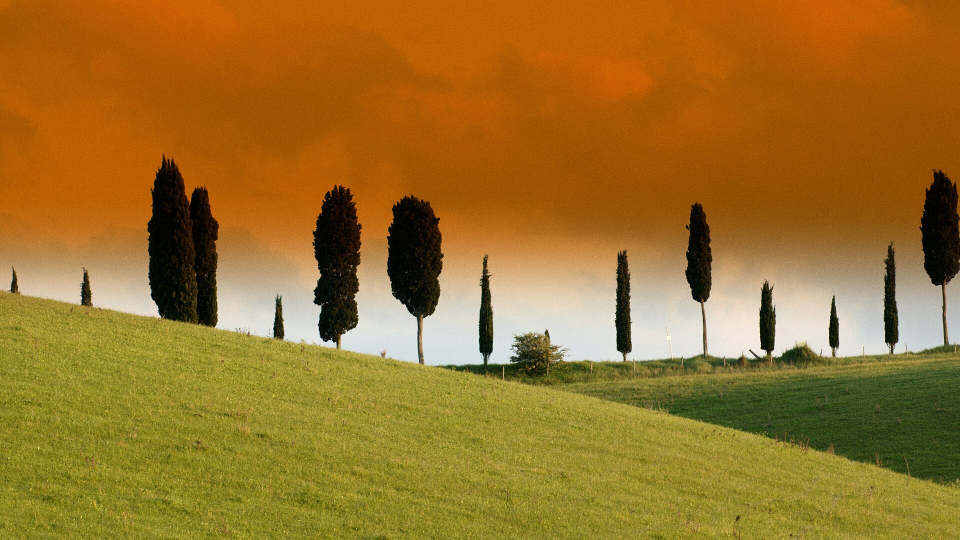 Alameda de ciprestes nas colinas da Toscana ao entardecer
