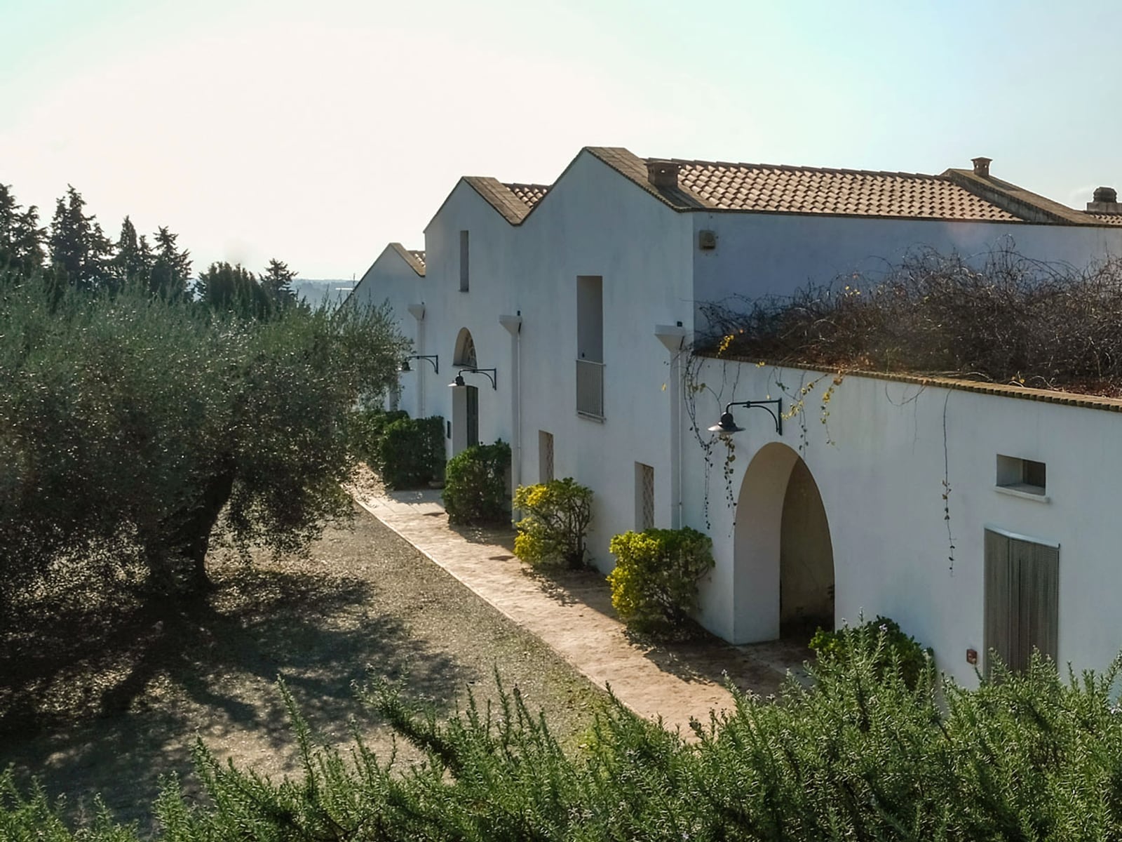 Masseria Cardillo — Basilicata