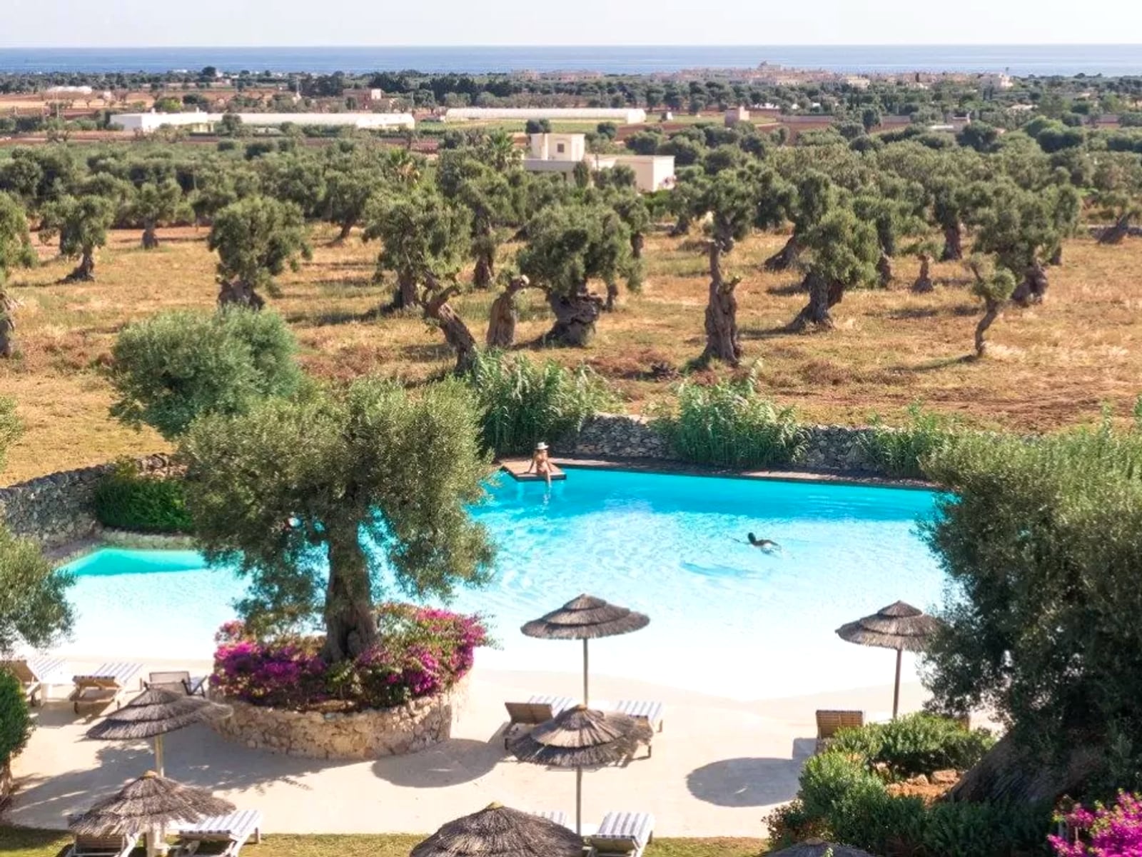 Masseria Torre Coccaro
