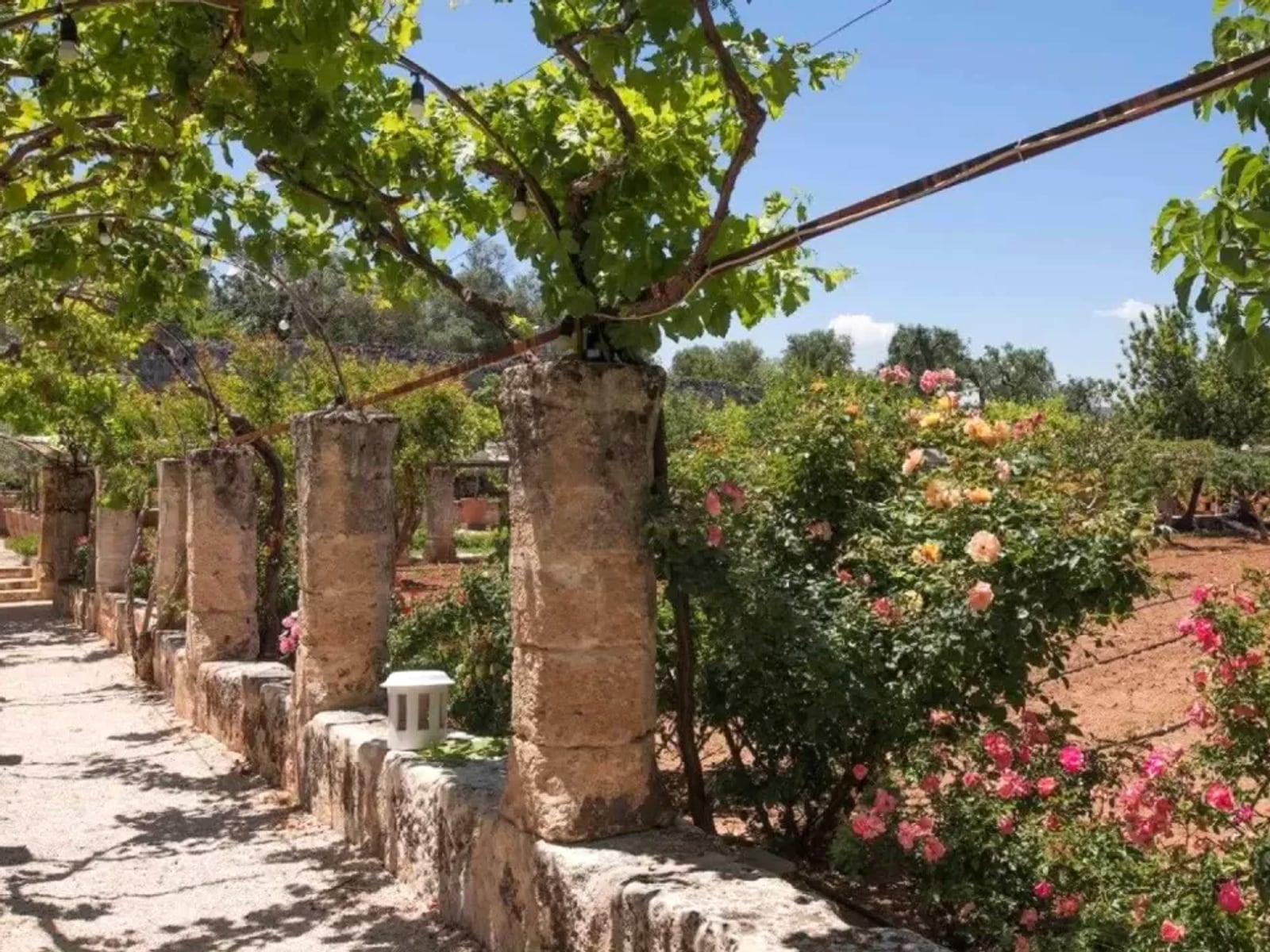 Masseria Torre Coccaro