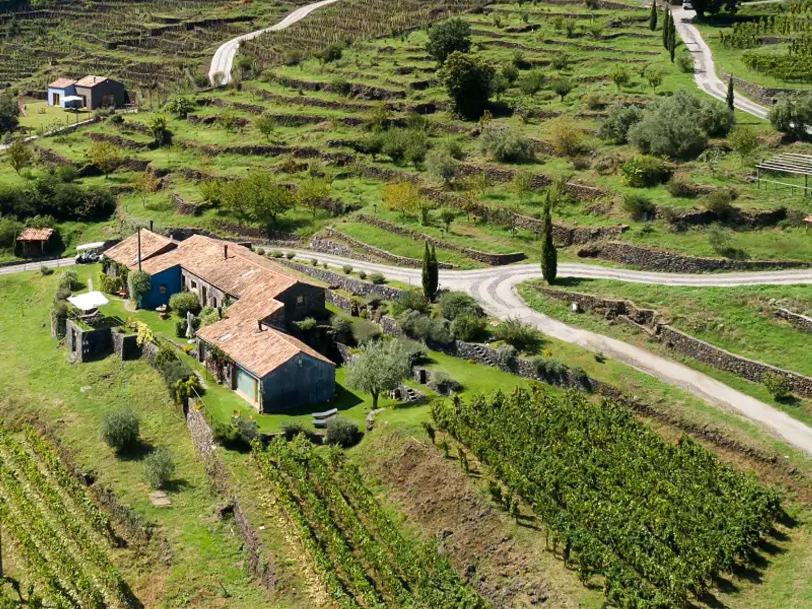 Monaci delle Terre Nere