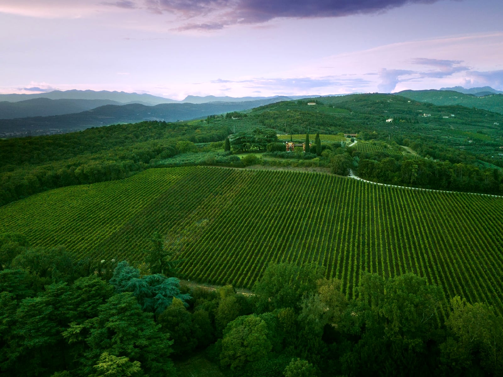 Musella — Vêneto — Valpolicella
